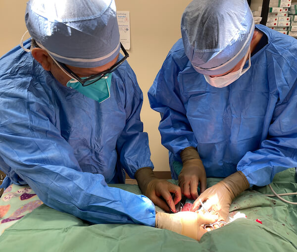 Doctor in surgery