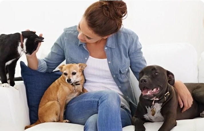 lady with dogs on a couch